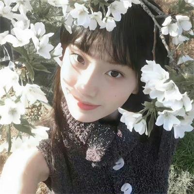 卡美洛